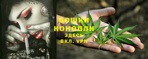 apvp Зеленодольск