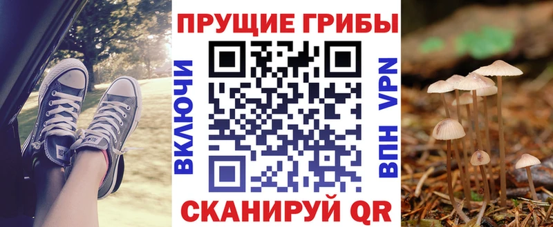 Купить где Бородино Псилоцибиновые грибы Cubensis